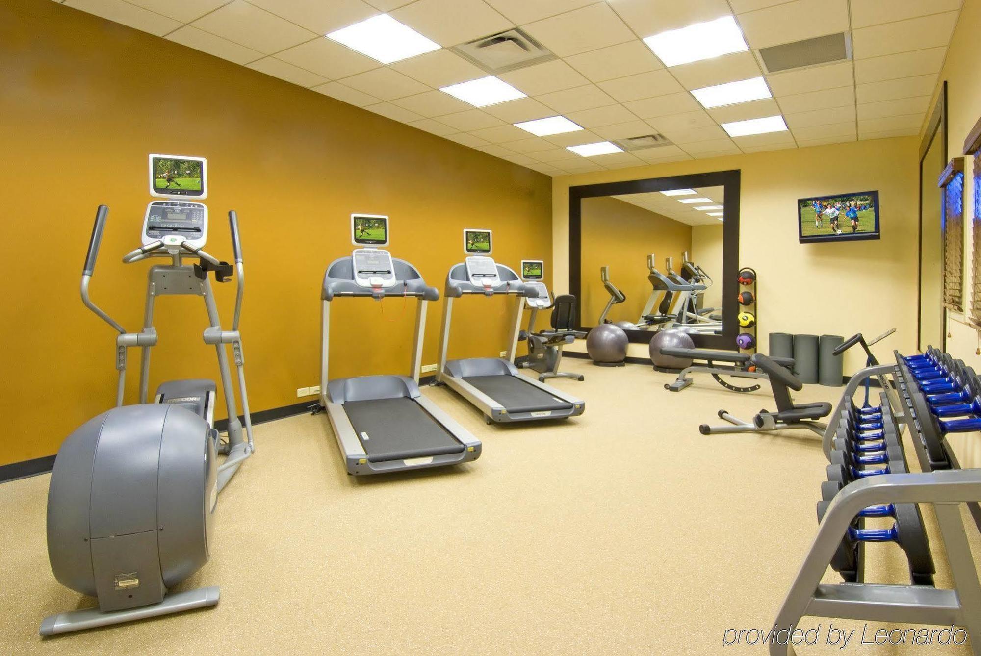 Hilton Garden Inn Tampa Airport/Westshore Ngoại thất bức ảnh